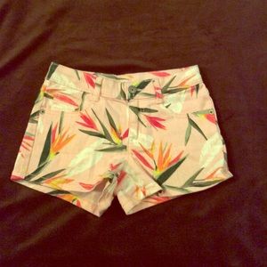 Birds of Paradise pink shorts